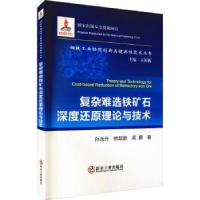 音像复杂难选铁矿石深度还原理论与技术孙永升,韩跃新,高鹏著