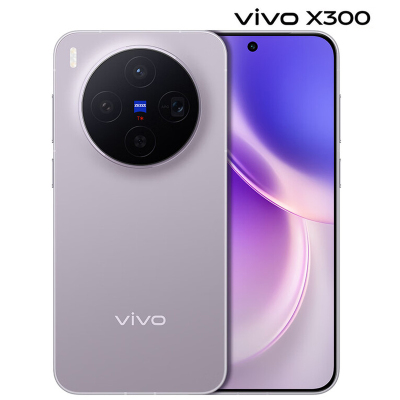 vivo X300 12GB+256GB 惬意紫 6040mAh电池 天玑9500 蔡司2亿主摄 持久流畅 拍照 AI 5G手机