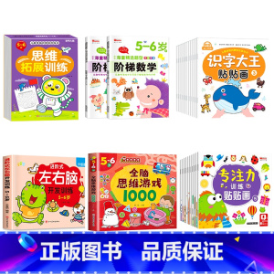 27册[5-6岁]左右脑+阶梯数学+全脑思维+全脑游戏+专注力贴纸+识字贴纸 [正版]儿童左右脑开发逻辑思维训练书