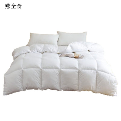 燕全食 棉被 6斤 2000*1500MM YQSA10/条