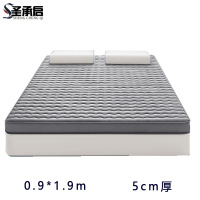圣承启 公寓床垫 0.9*1.9m张
