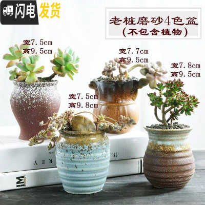 三维工匠老桩多肉花盆创意个性简约陶罐粗陶透气陶瓷小号肉肉花盆 磨砂老庄4个 中等花盆容器
