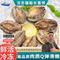 沈志雄船长 东山岛海鲜鲜活速冻大鲍鱼8头鲍16只共2斤火锅海鲜礼包年货