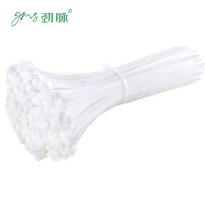 劲脉 耐寒扎带 8*250宽7.6mm[100条] 包