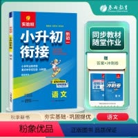 语文 [正版]春雨教育2024实验班小升初衔接 小升初暑假衔接作业 小升初衔接新初一 语文 人教版 小学毕业统考题重点中