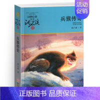 兵猴传奇 [正版]后一头战象沈石溪小学四年级五年级全集全套书浙江少年儿童出版社非注音版完整版动物小说大王品藏书系课外阅读