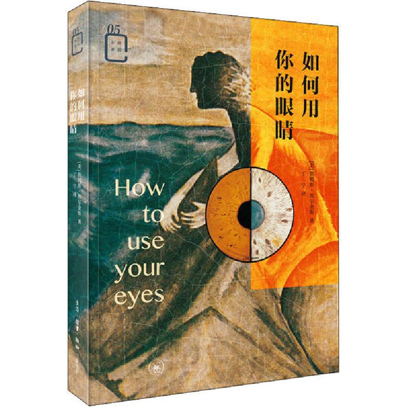 正版新书]如何用你的眼睛詹姆斯·埃尔金斯9787108065872