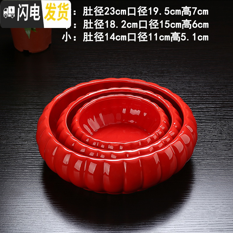 三维工匠无孔水仙花盆载铜钱大盆碗莲水培植物花盆陶瓷多肉简约创意红色 水培红色瓣 中等花盆容器