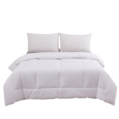 汉司家纺 HANSI-54 全棉防羽布 230*240cm 四季通用被芯 被子 1.00 件/条 (计价单位:条)