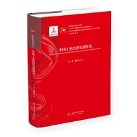 正版新书]中国工业经济发展研究肖翔 著9787568054096