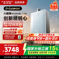 史密斯佳尼特[小精钢TJS5]16升增压零冷水燃气热水器 国家补贴 JSQ31-TJS5 安全守护 持久恒温 新品