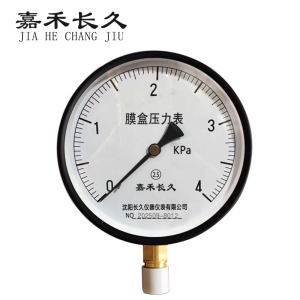嘉禾长久 膜盒压力表检测型 块