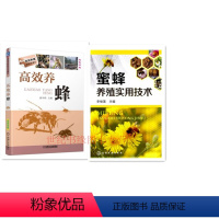 [正版] 书籍 蜜蜂养殖实用技术+高效养蜂 高效养殖致富直通车 养蜂技术与知识书籍 养蜂手把手教您成为养蜂能手