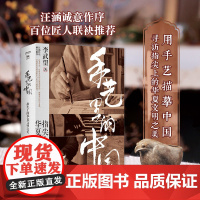 正版 手艺里的中国 汪涵作序 百位匠人联袂 读懂中国传统文化的美学精髓 感受中国人的精神内核与处世哲学