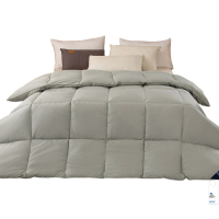 安居先森经典风尚羽绒纤维被冬被双人200*230cm 2900g D2086(条)