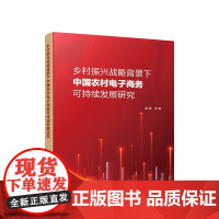 正版 乡村振兴战略背景下中国农村电子商务可持续发展研究 郭娜 等著 人民出版社