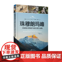 正版 精装 珠穆朗玛峰国家级自然保护区陆生野生动物 胡慧建金崑田园编 团队长达5年科考成果 国家地理动物生态恢复学