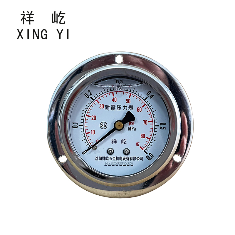 祥屹 耐震压力表(轴向带边) YN60ZT 块