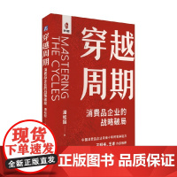 穿越周期 消费品企业的战略破局 潘松挺 著 管理