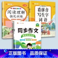 同步作文+看拼音+阅读理解 五年级上 [正版]小学语文专项训练一年级练习册全套看拼音写词语二年级上册三四五六年级天天练人