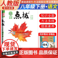 2025春特高级教师点拨八年级语文下册人教版初二8年级同步教材全解全析完全解读中学特高级教师讲解出版