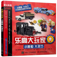 [M]乐高大玩家(小颗粒大技巧爱上乐高)-9787115532251