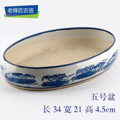 古达吸水石盆上水石盆假山盆水仙多肉盆景盆椭圆形盆栽青花瓷花盆壹号盆长19宽12高3五号盆长34宽21高4.5c