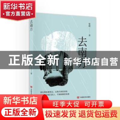 正版 去南方 简媛著 中国言实出版社 9787517145745 书籍