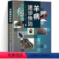 [正版] 羊病速诊快治 养羊技术书籍大全 羊病治疗书籍高效科学养羊肉羊规模化养殖饲养喂养 山羊小尾羊散养圈养快速出栏方