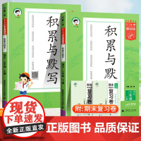 2025版53积累与默写二年级下上册语文部编人教版5.3小学基础练汉语拼音教材同步训练专项练习册看拼音写词语默写能手五三
