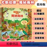 [正版]揭秘雨林 尤斯伯恩看里面低幼版揭秘系列 5-6-7-10-12岁少 趣味认知美绘本故事文学3d立体翻翻书一二三