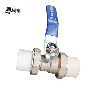 洋蝲蝲 PPR阀门 DN32 单位:个