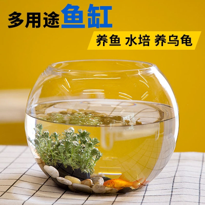 透明圆缸圆形金鱼缸生态创意玻璃鱼缸金鱼缸水培缸法耐花瓶特价