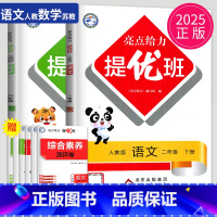 语文数学2本套装 江苏专用 小学二年级 [正版]2025亮点给力提优班多维互动空间二年级下册语文数学二下人教版RJ苏