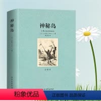 [正版]文学名著神秘岛儒勒?6?1凡尔纳Verne J.袁红艳 小说 名著北方文艺出版社千家集中文足本书籍0121