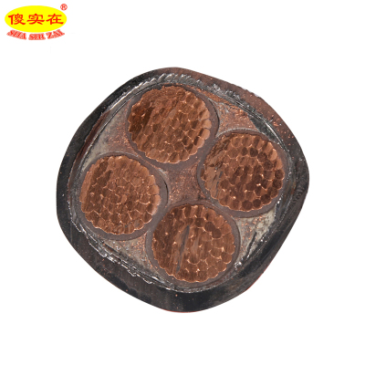 傻实在 电缆 国标全项保检 YJV22 4×240mm² 米