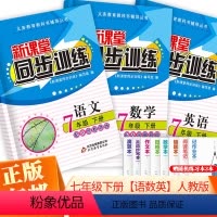 语数英人教版(三册) 七年级/初中一年级 [正版]2024版新课堂同步训练语文数学英语七年级下册同步练习册人教北师