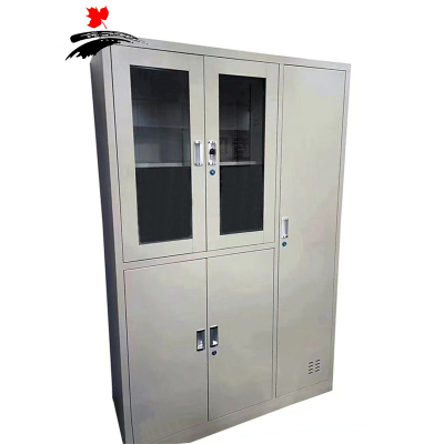 丰叶卓邦 文件柜 储物五门柜FY-XGYSG3501T 个