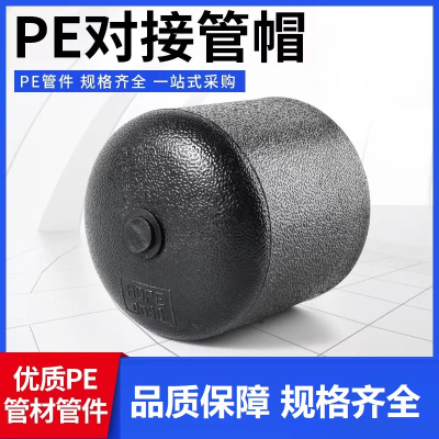 盛京联硕 PE对接堵头 PE160(承压1.6Mpa)个