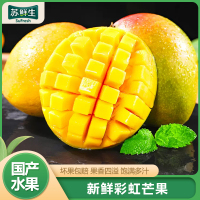 [苏鲜生] 新鲜彩虹芒果 净重3斤 特大果 单果300g+ 整箱新鲜现摘热带时令水果甜心芒应季芒果