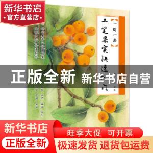 正版 工笔果实快速入门 蒋国良,李慧著 江苏凤凰美术出版社 9787