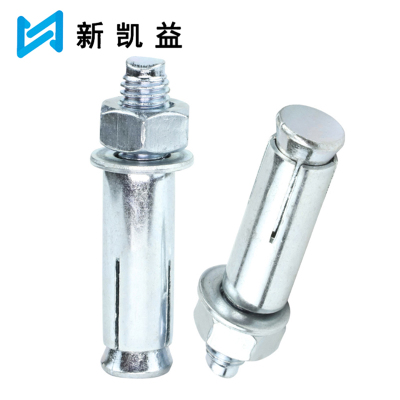 新凯益 镀锌膨胀螺丝 M12*400 个