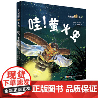 《哇!萤火虫》(《家门外的自然课》“哇”系列)