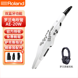 罗兰(Roland)AE20电吹管电子萨克斯吹管成人老年人电子管吹奏乐器