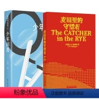 [正版]麦田里的守望者(出版纪念版)+我爱问连岳之少年问答