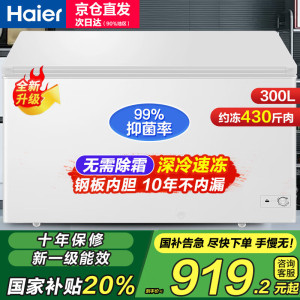 海尔冰柜300升无需除霜一级能效家商两用单温大冷柜 大容量卧式超低温节能省电减霜大冷冻柜可冻420斤肉