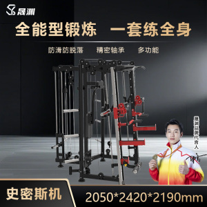 晟渊 史密斯综合训练器商用健身房训练器材 YZ790