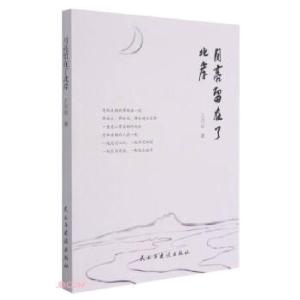 正版新书](塑封)月亮留在了北岸王洪岩 著9787513934985