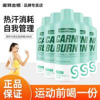 诺特兰德 500ml*8瓶 橙子+青苹果 左旋肉碱2万运动营养饮料男女跑步健身控燃体脂左旋20000官方正品旗舰店