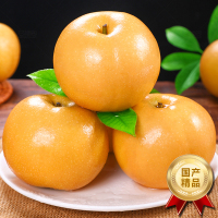 [西沛生鲜]新鲜山东秋月梨 净重2.5斤 4-6个 新鲜当季水果 现摘现发